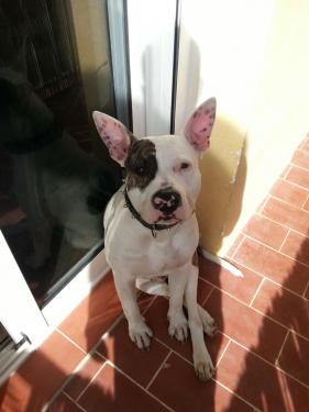 Marco